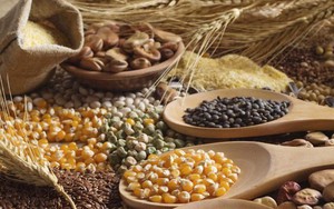 Chỉ số giá lương thực thế giới tháng 10/2024: Cao nhất trong 18 tháng qua