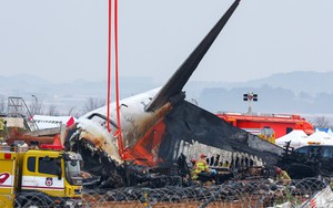 Va chạm với chim là nguyên nhân gây ra nhiều vụ tai nạn hàng không trên thế giới