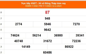 XSDT 12/2, kết quả xổ số Đồng Tháp hôm nay 12/2/2024, KQXSDT ngày 12 tháng 2
