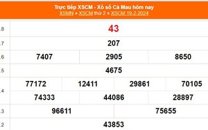 XSCM 19/2, kết quả xổ số Cà Mau hôm nay 19/2/2024, XSCM ngày 19 tháng 2