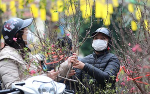 Thời tiết dịp Tết Giáp Thìn 2024: Từ 7/2, khu vực phía Đông Bắc Bộ trời chuyển rét