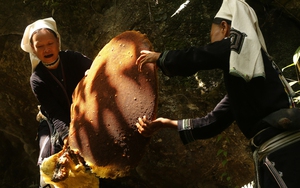 Báu vật truyền đời từ đàn ong rừng