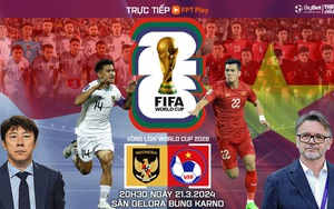 Nhận định bóng đá Việt Nam vs Indonesia, vòng loại World Cup 2026 (20h30 hôm nay)