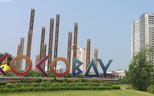 Đà Nẵng thông tin về tổ hợp dự án Cocobay