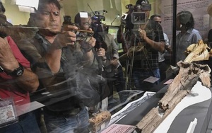 Phát hiện hóa thạch cá heo sông 16 triệu năm tuổi tại Peru