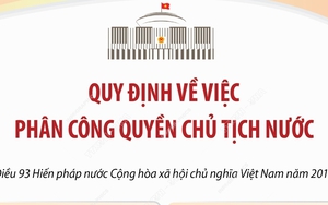 Quy định về việc phân công quyền Chủ tịch nước