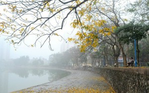 Bắc Bộ đêm mưa nhỏ, ngày nắng