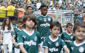 Ronaldo mới của bóng đá Brazil: Endrick, người được sinh ra từ trái bóng