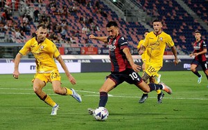 Nhận định Bologna vs Salernitana (17h30 hôm nay), Serie A vòng 30