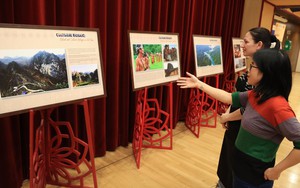 Dấu ấn ẩm thực Việt Nam tại Thụy Sĩ