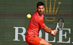 Khi Djokovic chờ ‘bức tranh lớn’