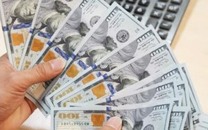 Giá USD tăng gần kịch trần
