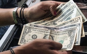 Giá USD vẫn trên 25.000 đồng