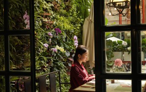 Độc đáo điểm check in tại "Khu vườn tự do" được thiết kế từ hàng nghìn bông hoa