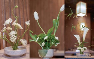 Tái hiện lễ hội Hanami thu nhỏ giữa lòng Hà Nội