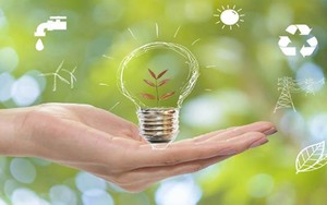 Những cách tiết kiệm điện hiệu quả trong ngày nắng nóng