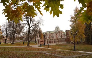 Nga: Thời tiết xấu tại Moskva khiến 2 người thiệt mạng, nhiều người bị thương