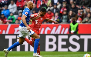 Nhận định bóng đá Hoffenheim vs Augsburg, Bundesliga vòng 28 (20h30 hôm nay)