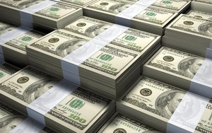 Mỹ: 30 triệu USD tiền mặt bị trộm