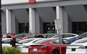 Tỷ phú Elon Musk thông báo Robotaxi của Tesla sẽ ra mắt vào tháng 8