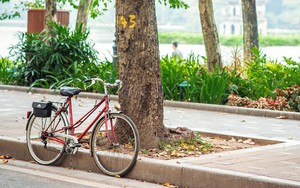 Cuộc đời sau ống kính: Xe đạp ơi…