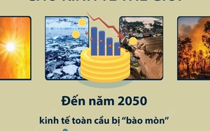 Biến đổi khí hậu gây thiệt hại lớn cho kinh tế thế giới