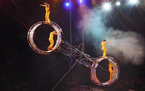 Góc nhìn 365: Xiếc còn hấp dẫn?