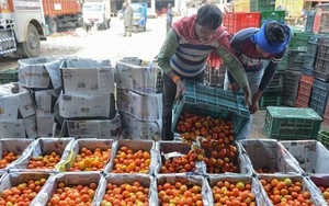 Liên hợp quốc nâng dự báo triển vọng kinh tế toàn cầu năm 2024