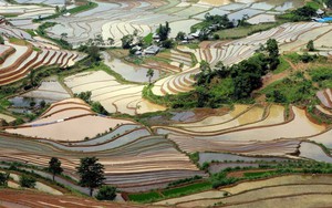 Lai Châu mùa nước đổ