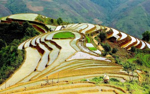Ngắm ruộng bậc thang mùa nước đổ ở Sơn La
