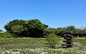 Du khách Trung Quốc và Nhật Bản đổ xô đến Busan và đảo Jeju 