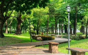 Chào tuần mới: Mảng xanh giữa nắng nóng