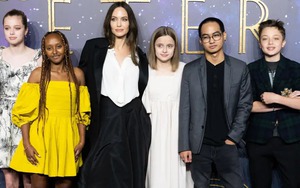 Brad Pitt thắng trong cuộc chiến pháp lý nhưng Angelina Jolie đã thắng trong cuộc chiến gia đình