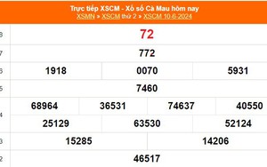 XSCM 10/6, kết quả xổ số Cà Mau hôm nay 10/6/2024, trực tiếp xổ số hôm nay