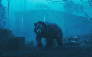 'Móng vuốt' chưa đủ sắc bén