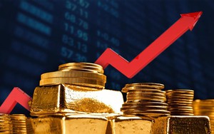 Đầu tư 'sàn vàng online', người phụ nữ bị lừa 24 tỷ đồng