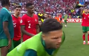 Hi hữu sao tuyển Bồ Đào Nha bị nhân viên an ninh đốn ngã khi truy đuổi fan cuồng Ronaldo