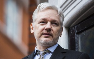 Nhà sáng lập WikiLeaks đồng ý nhận tội