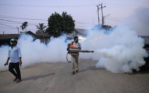 Ấn Độ ghi nhận các ca nhiễm virus Zika