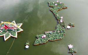 Tạo hình bản đồ Việt Nam từ 5.000 chậu hoa sen ở Đồng Tháp