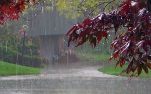 Thời tiết hôm nay: Bắc Bộ và Thanh Hóa có mưa to và dông