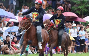 Hấp dẫn Giải đua ngựa truyền thống trên cao nguyên Bắc Hà