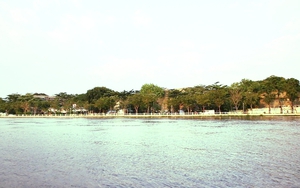 Diễn đàn văn hóa: Giấc mơ "rừng trong phố"