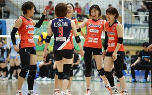 CLB bóng chuyền nữ nhà nghề Nhật Bản nhiều lần đối mặt Trần Thị Thanh Thúy sẽ so tài với tuyển nữ Việt Nam