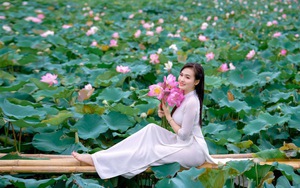 Vũ Thị Hoa "tái xuất" sau khi đăng quang Hoa hậu với vai trò mới