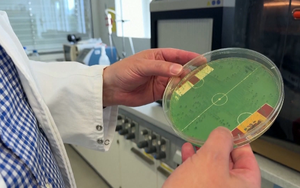 Vi khuẩn E.coli dự đoán Tây Ban Nha vô địch EURO 2024