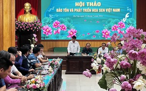 Nâng tầm giá trị sen Hà Nội (kỳ 1): Từ sen bách diệp Tây Hồ…