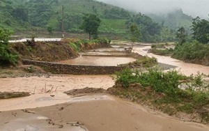 Thời tiết 14/7: Mưa to trên đất liền, các vùng biển có gió mạnh và sóng lớn