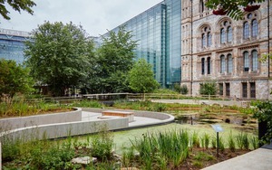 Cuộc du hành qua… 3 tỷ năm tại London