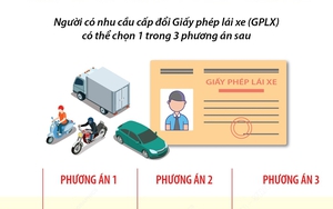 Ba phương án cấp đổi Giấy phép lái xe ở Hà Nội